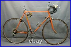 1975 Raleigh Vintage Touring Road Bike XLarge 61cm Shimano 500 Steel USA Charity