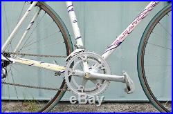1992 Schwinn Paramount Series 5 PDG 54cm Road Bike Shimano 105 Campagnolo
