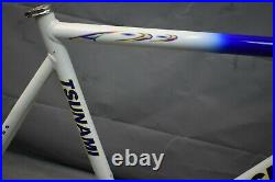 2002 Tsunami Pro Racing Road Bike Frame 59cm Large Gravel Touring USA Charity