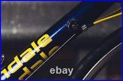 Cannondale R700 Triathlon/Road bike Retro Vintage 1993 Shimano 105 blue/yellow