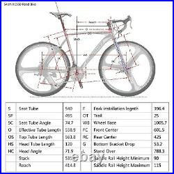 Mens Road Bike Shimano 21 Speed Disc Brake Cycling Bicycle 700C Wheel 54cm Frame