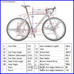 Road Bike Shimano 21 Speed Disc Brake mens Bicycle 54cm Frame 700C wheel Bikes