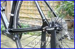 Specialized Allez 56cm L Shimano Claris Road Bike Carbon Fork Giant Trek